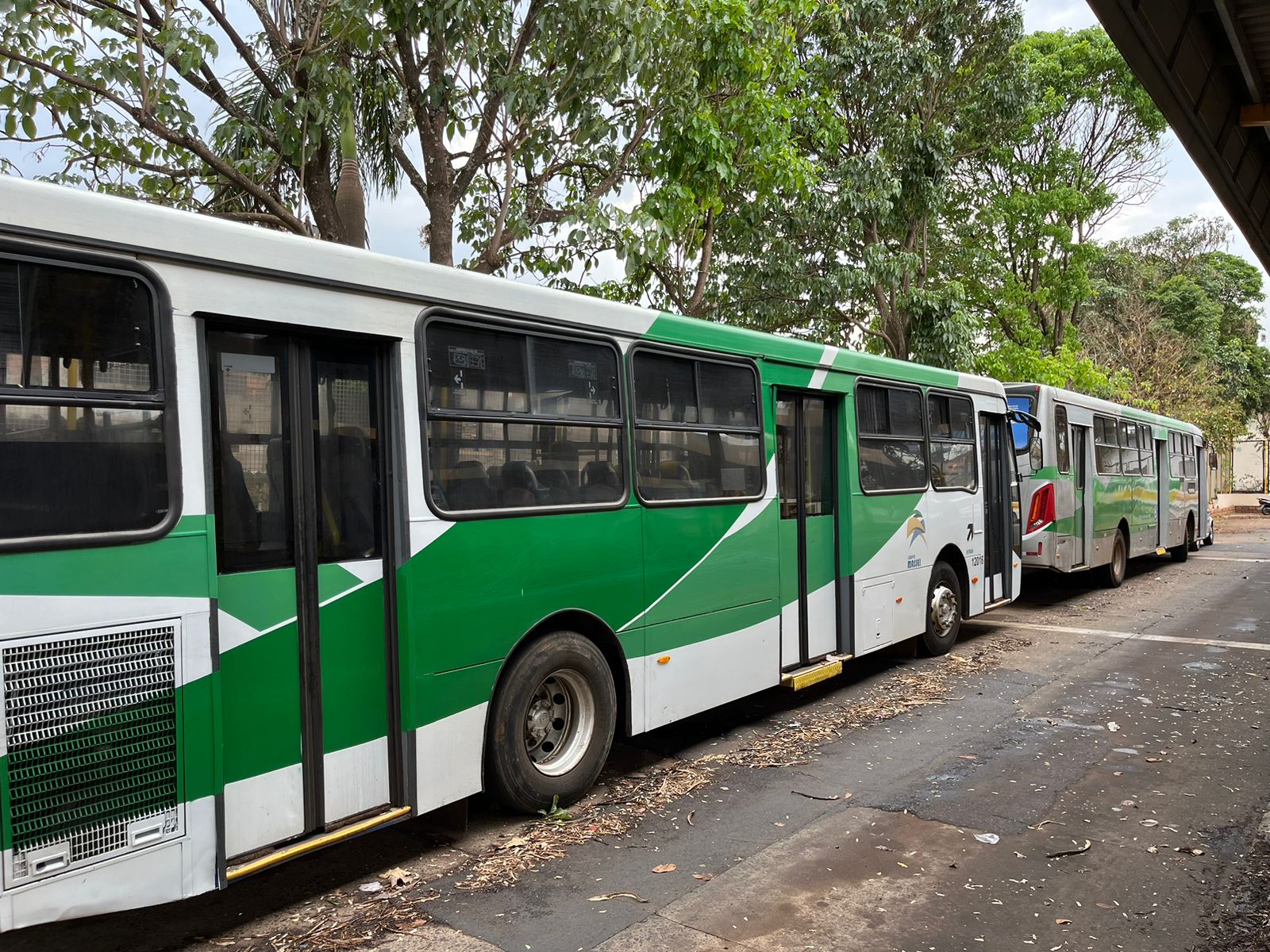 Imagem JPG, Transporte coletivo será gratuito para toda a população neste segundo domingo de Enem, das 6 às 20h